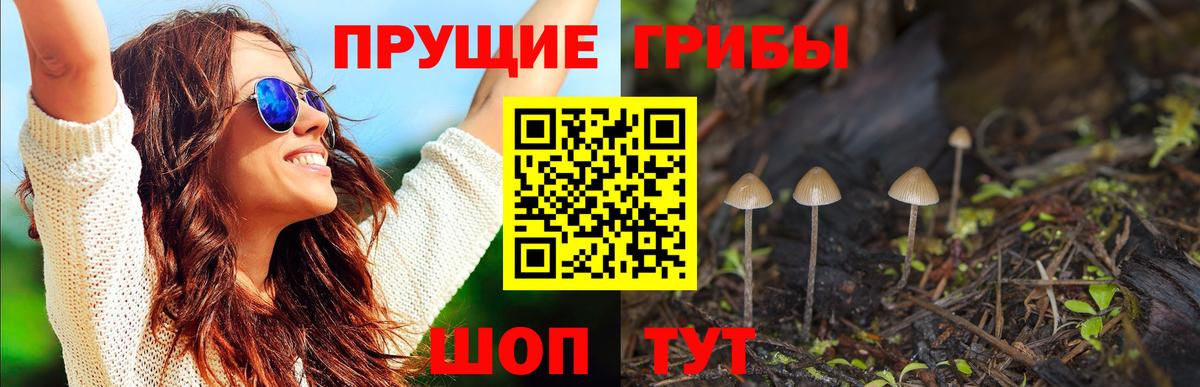 Кострома  Галлюциногенные грибы Psilocybine cubensis  Вход с VPN 
